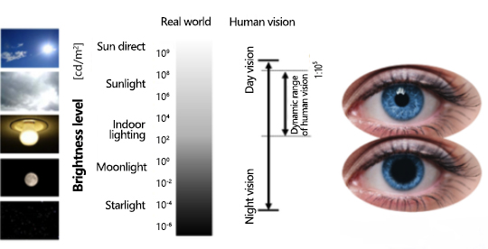 HDR Vivid: Reproducing Human Sight